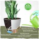 Self-Watering Pots for Indoor Plants 4 Pack, 6/8/10/12 Inch Outdoor Planters with Water Level Indicator & Deep Reservoir, Decorative Flower Pots for Home Decor (White, 12+10+8+6 Inch)