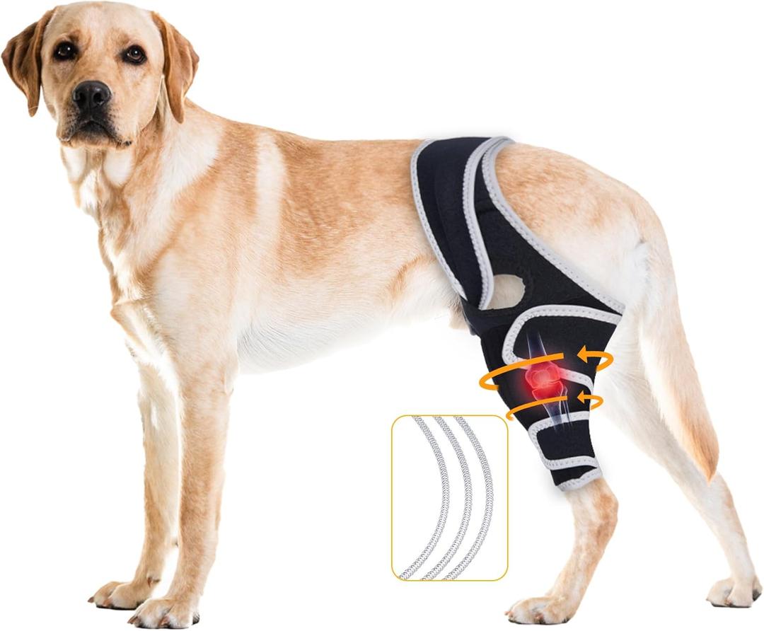 Adjustable Dog Knee Brace for Acl and Joint Damage  Promotes Healing After Surgery, Stabilizes Front or Back Legs, Eases Pain from Ligament Injuries, XL