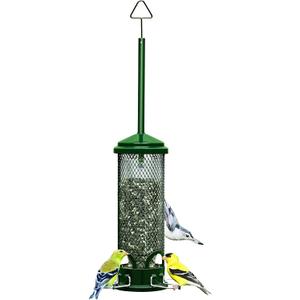 Squirrel Buster Mini Squirrel-proof Bird Feeder w/4 Metal Perches, 1.3lbs Seed Capacity, garden green