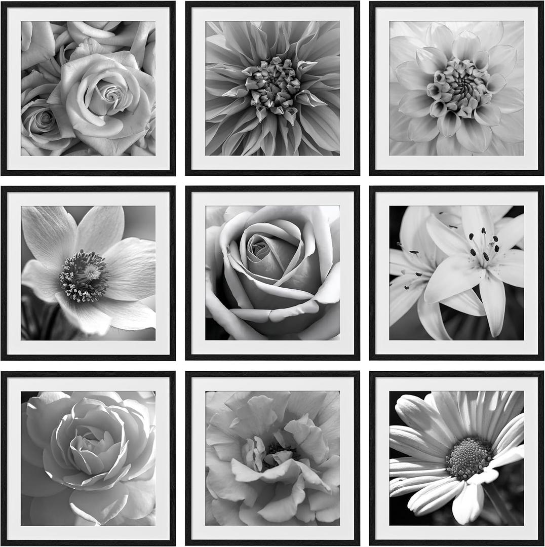 eletecpro 24x24 Picture Frames Set of 9, Classic Gallery Wall Frame Set for 20x20 Photos with Mat or 24x24 without Mat, Storyline Picture Frame for Art Prints, Black Poster Frames for Home Decor Wall