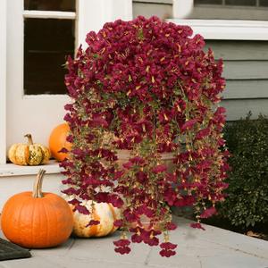 2pcs Fall Flower for Outdoor Decoration Faux Hanging Flowers UV Resistant Artificial Morning Glory Plants for Autumn Outside Planter Porch Patio Balcony Yard(Burgundy)