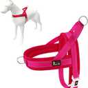 Plutus Pet No Pull Dog Harness with Breathable Mesh Padded, Adjustable Reflective Escape Proof Dog Harness, Quick Fit Dog Vest Harness for Small Medium Large Dogs(L, Pink)