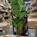 Artificial Fiddle Leaf Fig Tree in Modern White Planter, 5ft
Large Fake Tree with 3 Sturdy Trunks, Fake Plants with Moss, Lifelike Tall Artificial Plants Indoor for Office Home Decor