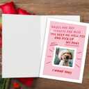 2 x Funny Dog Valentines Day Card - Roses Are Red Dog Card for Pet Owners (BT-157)
