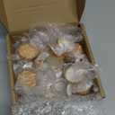 1 Oz Frosted Glass Cosmetic Containers with Wood Grain Lids, 30ml Travel Empty Makeup Jar Pot Box