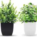 Bundle of 2 Pack Small Fake Plants Black and 2 Pack Fake Plants Small Artificial Greenery Indoor for Home Farmhouse Bathroom Shelf Decor