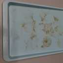 KitchenAid 10x15in Nonstick Aluminized Steel Cookie Slider, Mineral Water