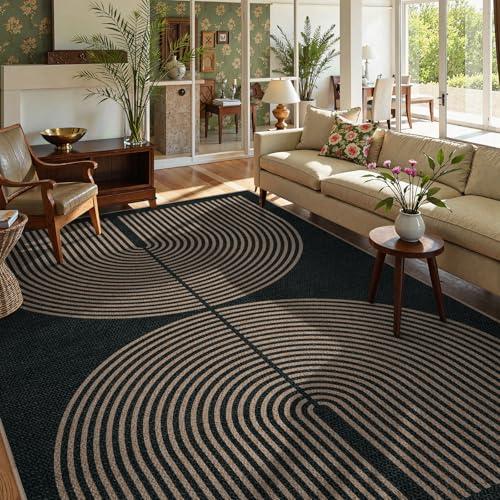 Amazon.com: Lahome Modern Rainbow Easy Jute Outdoor Carpet, Washable Rugs 9x12 for Living Room Patio Large Farmhouse Indoor Outdoor Carpet, Contemporary Black Dining Room Rugs for Under Table Office Backyard : Home & Kitchen