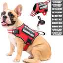 Service Dog Vest Harness and Leash Set+10 Patches,No Pull&Adjustable Reflective Dog Harness with Soft Padded Handle for Training/Everyday,Fit Small/Medium/Large/Extra-Large Dogs(Red M)