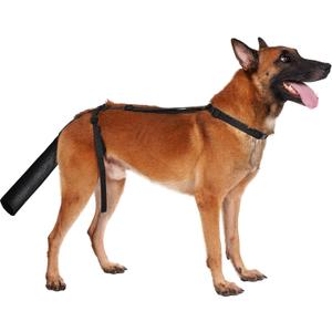 BARKLESS Dog Tail Protector, Dog Tail Guard for Medium Large Dogs, Adjustable Cover to Prevents Licking Wounds, Breathable Tail End Bag for Recovery (Black, M)