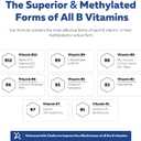 BioActive Vitamin B Complex - Blood Stream Ready, Methylated B Complex - Featuring Methylfolate, 3 BioActive Forms of B12, BenfoPure B1 & Pantesin B5 - 12 B Vitamins in Clinical Doses - 60 Servings BBD 09/2027