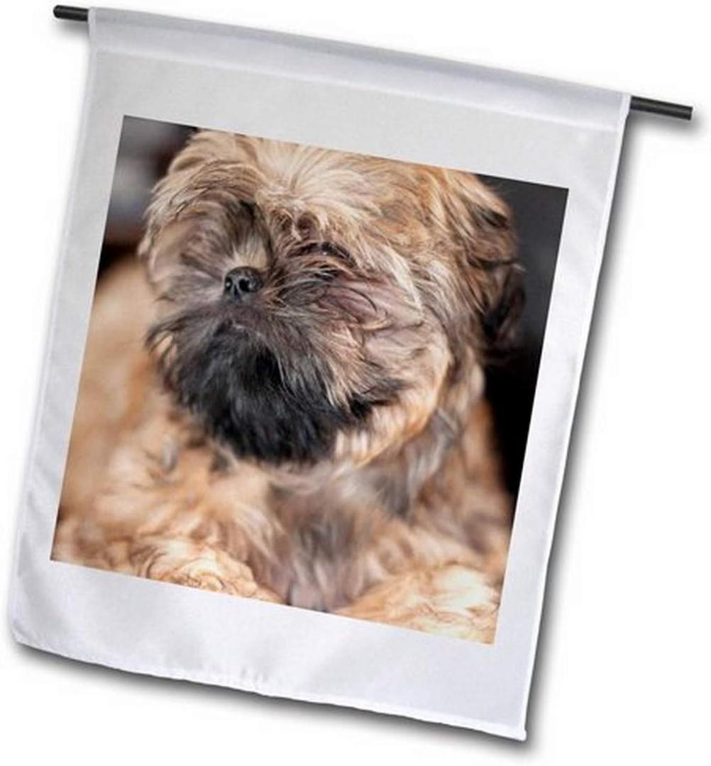 3dRose fl_204057_2 "A Close Up with A Large Aperture of A Shih Tzu Dog in Brindle Garden Flag, 18 x 27