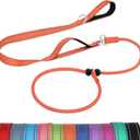 3 x Joytale Tangle-Free Slip Leads for Dogs, 6 FT Slip Leash with Padded Double Handle, Reflective Nylon Training Leash for Small Medium Dogs 15-40 Lbs, Orange