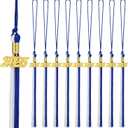 Chuangdi 10 Pieces 2025 Grad Graduation Tassels Graduation Cap Tassels with 2025 Charms Graduate Hat Decoration for School Party Favors(Blue and White)