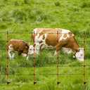 45 Inch Fiberglass Step-in Electric Fence Post, 20 Pcs Temporary Fence Stakes with Clips for Cows, Sheep and Animals Fence, Garden Protection Pole for Livestock Control (20)