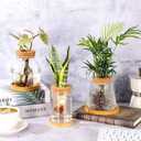 6 Pcs Plants Propagation Station Separated Desktop Glass Plant Terrarium with Wood Lid and Tray, 3 Sizes Hydroponics Plants Jars Water Planting Vases for Indoor Home Tabletop Decor