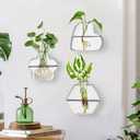 yarlung Set of 6 Wall Hanging Planter Terrarium, Clear Glass Plant Vase Wall Mount for Propagating Hydroponics Plant, Indoor Air Plants, Stylish 6 Shapes (Plants Not Included)