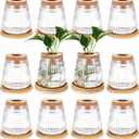 Baderke 12 Packs Propagation Vases for Plants Plastic Plant Propagation with Hole Lid and Bamboo Stand Growing in Water Hydroponic Home Office Desktop Vase Decoration