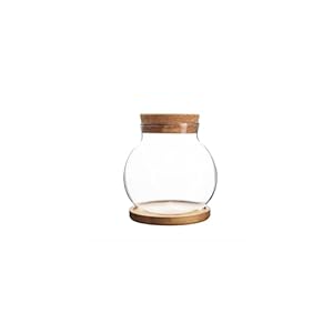Plant Propagation Station,Hydroponic Glass Container Vase Jars, with Wooden Saucer for Desks, Houses, Garden Decorations, Home Kitchen Decorations and Gifts for Plant Lovers, Pack of 1