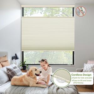 MiLin Cordless Top Down Bottom Up Cellular Shades Color-Matched Window Treatments Cellular Blinds for Windows Honeycomb Design Blinds & Shades (Blackout Creamy, 29" W x 64" H)