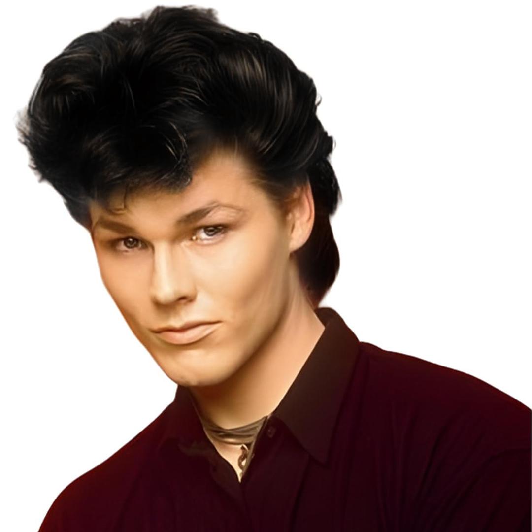 Men's 80s Short Black Mullet Wig, Disco Rocker Punk Synthetic Cosplay Halloween Wig