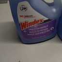Windex 697262, 128 Fl Oz (Pack of 1)