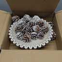 Ruffle Decorative Bowl, Large Fruit Bowl for Kitchen Counter, Stylish Key Bowl for Entry Table, Handcrafted Home Decor Display bowl, Artificial Stone Beige