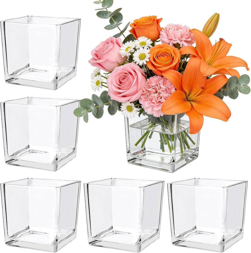 6 Pack Square Glass Vase 4" x 4" x 4", Clear Cube Vases for Centerpieces, Thickened Glass Flower Vases, Plant Terrarium, Floating Candle Holder for Wedding Party, Office/Home Decor, Events