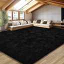 EVOIONOS 10x14 Washable Large Area Rug for Living Room, Fluffy Shag Rug for Bedroom, Ultra Soft Plush Non Slip Carpet for Indoor Floor Bedside Nursery Kids Girl Room Dorm, Home Decor Aesthetic, Black