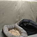 JOYELF Large Memory Foam Dog Bed, Orthopedic Dog Bed & Sofa with Removable Washable Cover and Squeaker Toy as Gift (Large-36"x27")