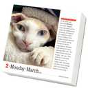 3 x 365 Cats Page-A-Day® Calendar 2026: The World's Favorite Cat Calendar