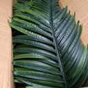 6FT Artificial Palm Tree, Tall Faux Palm Tree Indoor with Black Fake Plants Tall, Artificial Plants with Lifelike Leaves for Home Office Decor (Black)