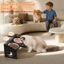 Elevated Cat Bowls with Splash Proof, 12Tilted No Spill Raised Cat Food Water Bowls Set, Stainless Steel Pets Dishes with Adjustable Cute Metal Stand for Indoor Kitten Puppy, Anti-Vomiting