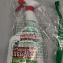 Natures Miracle Stain and Odor Remover Dog, 32 Ounces, Everyday Mess Enzymatic Odor Control Formula (32 Fl Oz (Pack of 1))