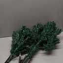 Christmas Tree with Lights,3ft Artificial Xmas Tree for Home, Office, Indoor and Outdoor Holiday Decoration,Golden Star Topper & Easy Assembly, Green