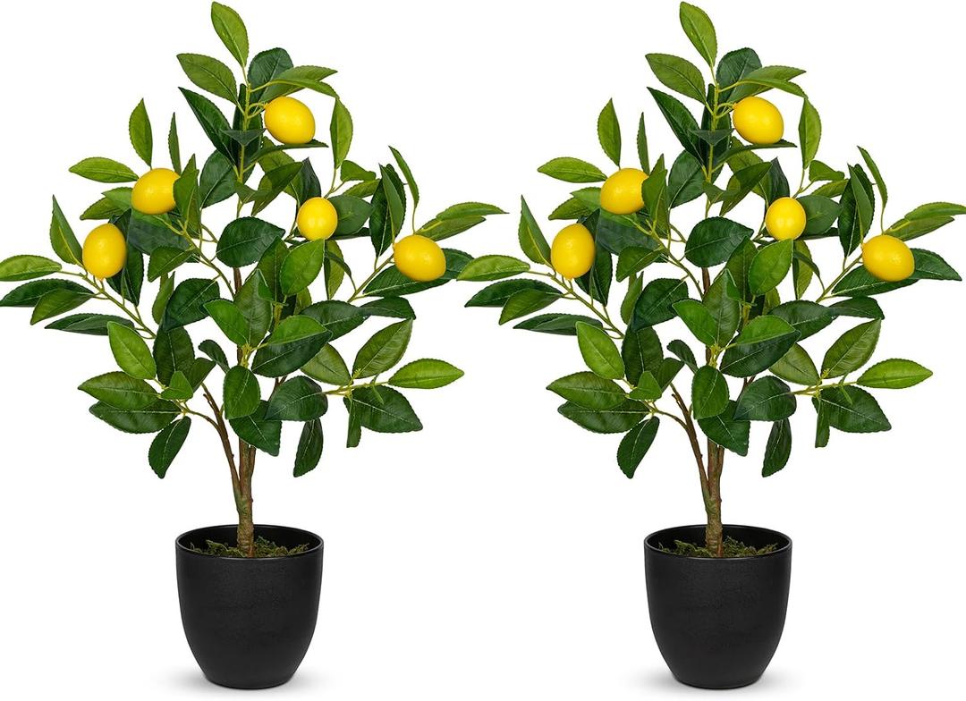 2Ft Artificial Lemon Trees, 2 Packs Large Artificial Plants Indoor with Black Pots Faux Potted Citrus Trees Fake Floor Plants Lemon Decorations for Home Living Room Office, Bedroom Table, Desk