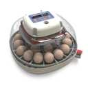 Harris Farms Nurture Right Egg Incubator for Hatching Chicks, Holds 12-22 Eggs, Automatic Turner with Temperature and Humidity Control, 360 Degree View with Clear Window, Incubator for Hatching Eggs