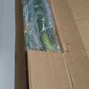 Nearly Natural 4ft Golden Cane Palm Artificial Tree