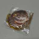 5Pcs Forest Animal Acorn Ornaments,Cozy Forest Woodland Christmas Ornaments for Christmas Tree,Forests Animal Christmas Ornaments,Pine Cone Animals Decor,Squirrel Acrylic Hanging Ornament