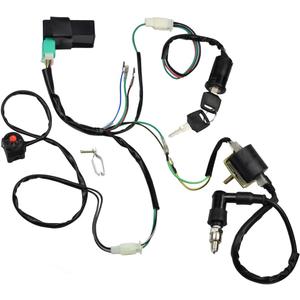 Wire Harness Wiring Loom CDI Ignition Coil Spark Plug Rebuild Kit for 50cc 70cc 90cc 110cc 125cc Stator CDI Coil ATV Quad Bike Buggy Go Kart