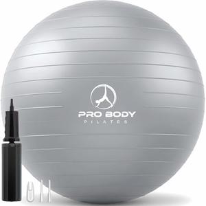 ProBody Pilates Exercise Ball - Multiple Sizes Gym Grade Balance Ball for Fitness, Workout, Pregnancy & Physical Therapy, Stability Yoga Ball Chair (Silver, 65 cm)