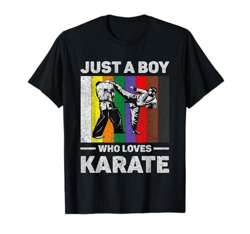 Just A Boy Who Loves Karate Vintage Taekwondo Karate T-Shirt, Medium