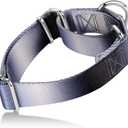 Martingale Dog Collar Colorful Gradient Fashionable - Anti-Escape Soft Durable Pets Collar for Walking Training Outdoor Daily Use -Medium, Blue Black (Medium: 14" -21", Silver grey to Black Gradient)