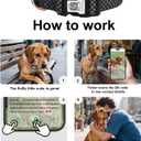 WhoseID Dog Collar with Waterproof AirTag Holder & Anti-Lost QR Code, Cute Bling Warpping Adjustable Width for Small Medium Large Pet (Black, L)