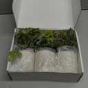 Der Rose 3 Pack Mini Potted Fake Plants Artificial Plastic Eucalyptus Plants Topiaries for Home Office Desk Farmhouse Shelf Room Bathroom Decor(Sage Green)