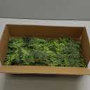 9ft Christmas Cedar Garland Artificial Realistic, Real Touch Greenery Garlands for Decoration, 2025 New Pine Garland for Mantle Table Fireplace Stairs Outdoor Indoor Christmas Decorations