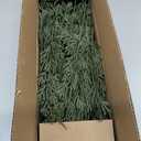 Watayo 60 Pcs Christmas Artificial Pine Branches with Red Berry Stems, 10.5" Faux Evergreen Norfolk Pine Cypress Leaves Stems, Fake Foliage Pine Needles Picks for DIY Craft Garland Home Decor