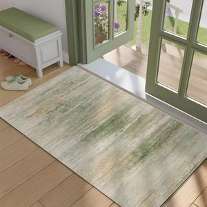 Abstract Doormat Entryway Rug Washable Area Rug 2x3, Spill-Proof Surface, Non-Slip Backing, Cozy Soft Faux Wool, Printed Rugs 2x3, Bathroom Rugs, Bedroom Rugs - Sana (2'x3')
