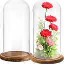 2 Pack Glass Cloche Display Dome, 10 Inch Large Decorative Glass Bell Jar, Clear Dome Showcase with Dark Brown Wooden Base, for Plants, Medals, Photos, Antique Collectibles, Mother's Day
