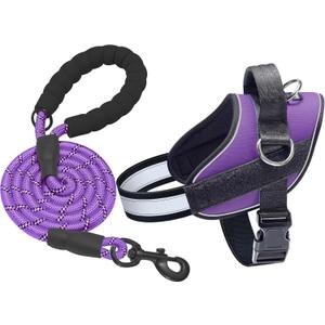 Haapaw Essential Dog Harness, No Pull Pet Vest with 3 Leash Clips, No Choke, Reflective, Adjustable and Padded, for Easy Walking and Training for Large Dogs (L, Purple)